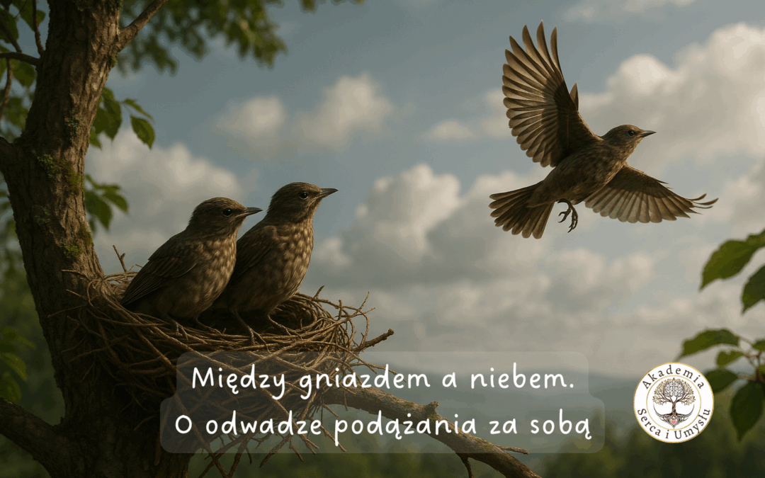 O wychodzeniu ze strefy bezpieczeństwa
